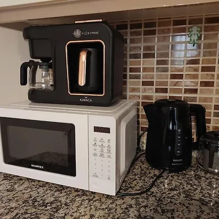 Diana's Ephesus سلجوك