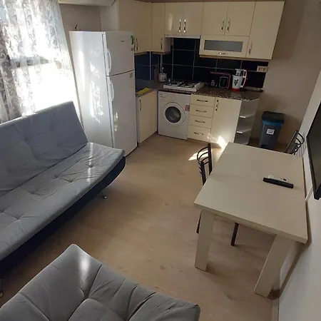 Diana's Ephesus سلجوك