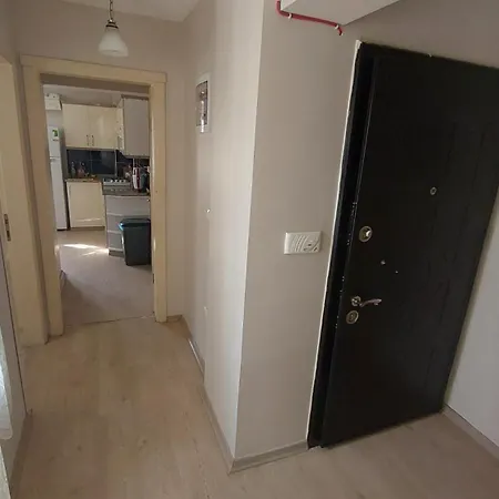 Diana's Ephesus * سلجوك